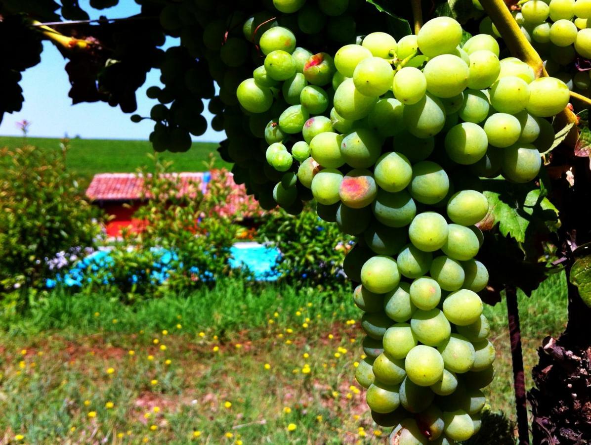 Cascina Dei Giacinti Villa Nizza Monferrato Buitenkant foto